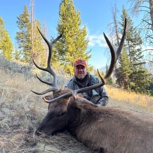 A hunter in an orange hat posing with his bull elk on a Wyoming mountain side.